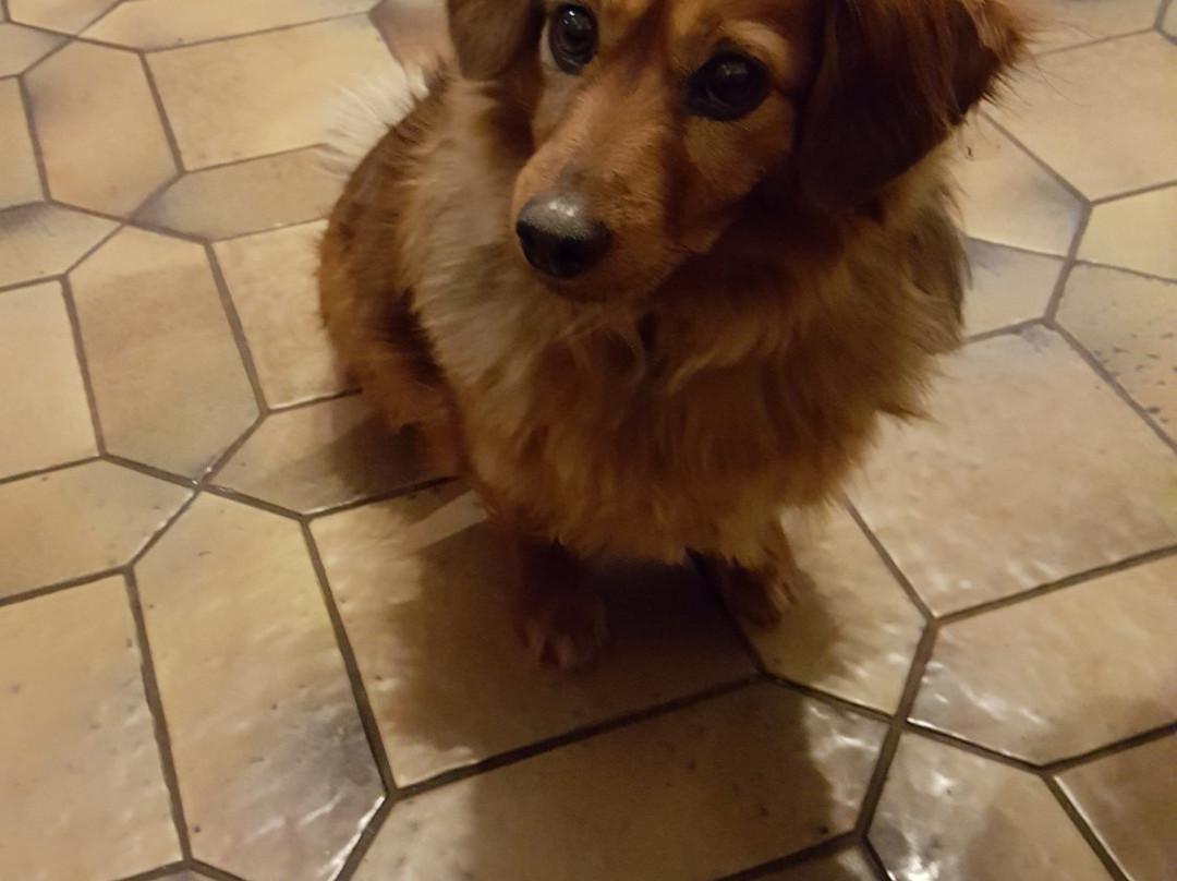 Rieger Landgasthof主图