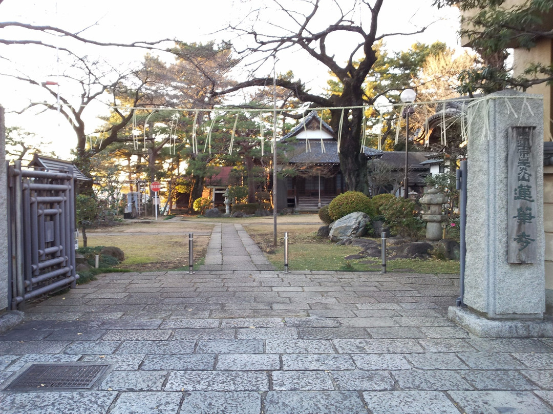 Renge-ji Temple-中野区必去景点