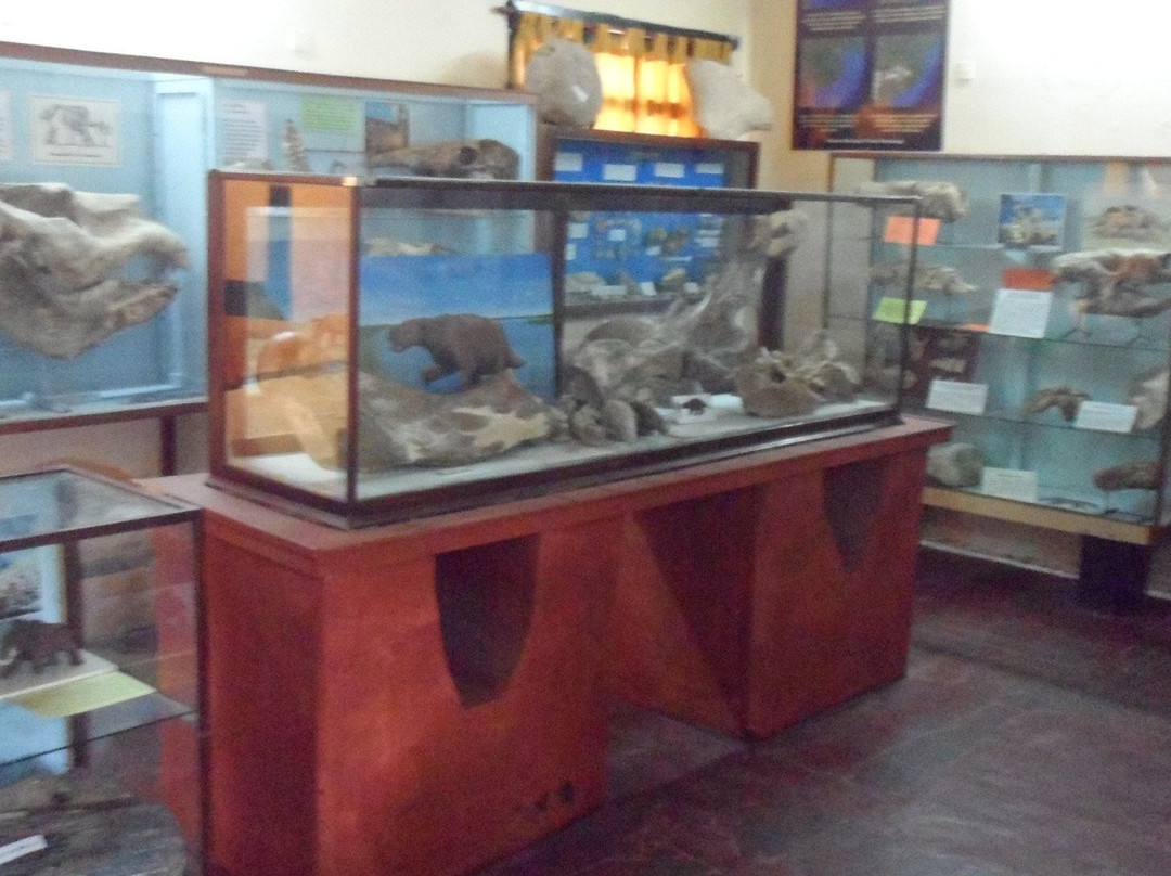 Museum and Historical Archives of Miramar景点图片