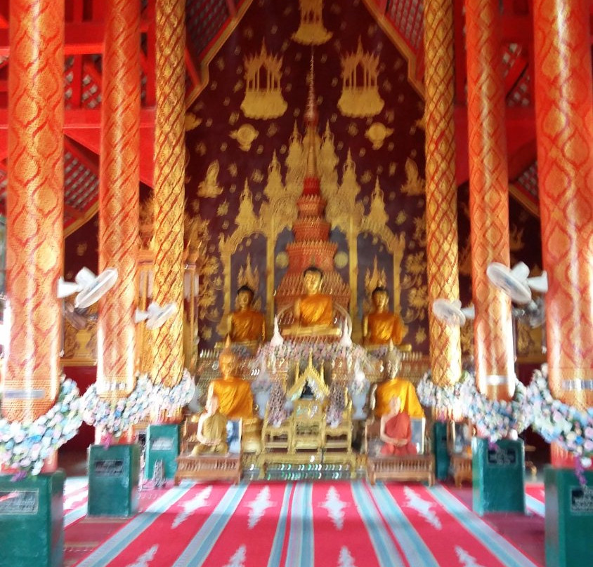 Chiang Mai Motorbike Tours景点图片