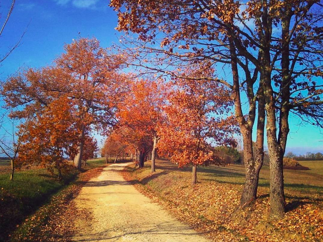 Domaine de Hongrie主图