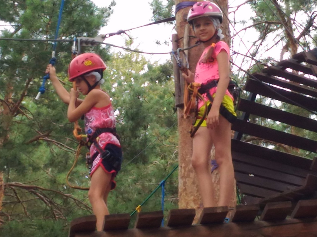 Adventure Park Tarzaniya景点图片