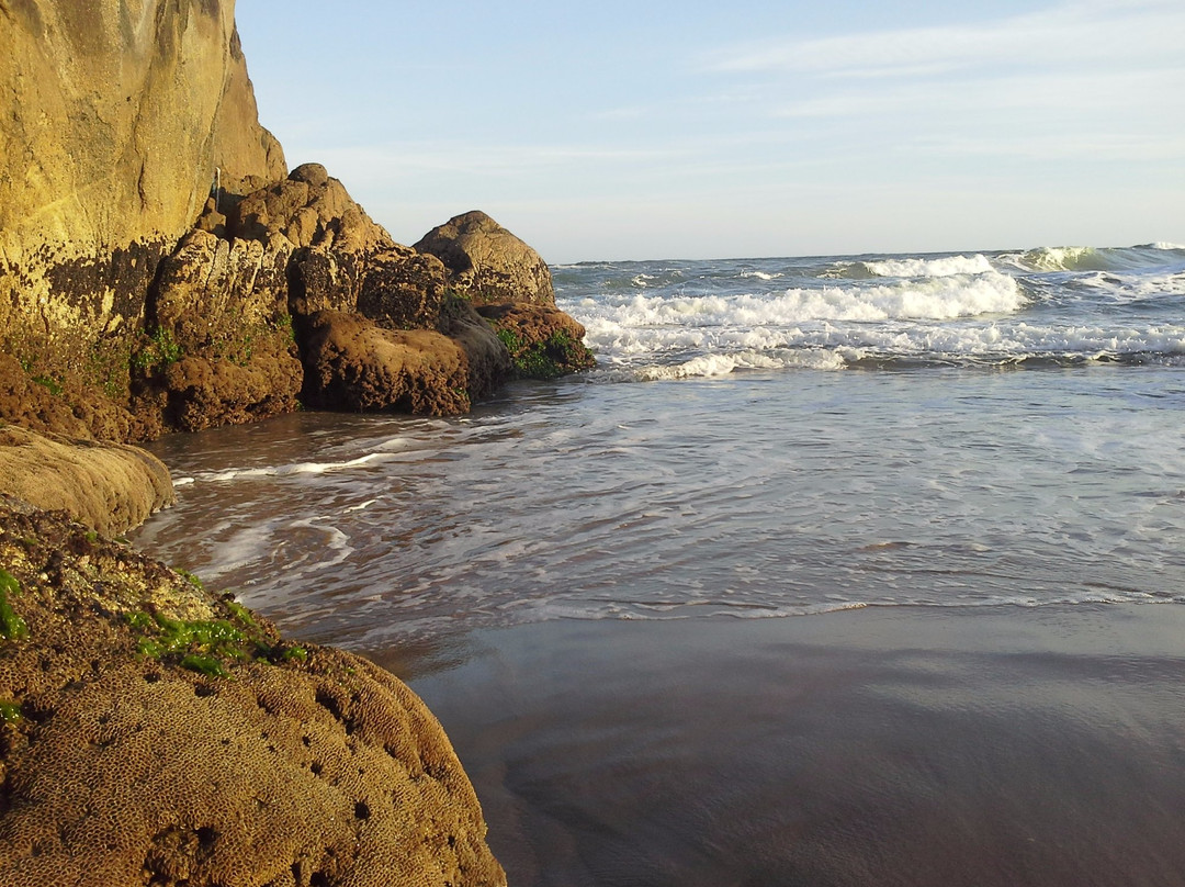 Grande Beach-Sao Francisco do Sul必去景点