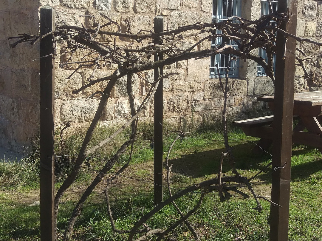 Yellin House at Motza-耶路撒冷必去景点