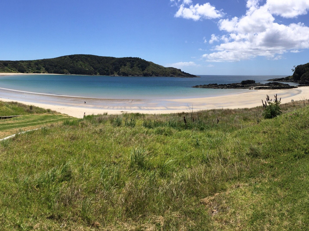 Maitai Bay Campsite