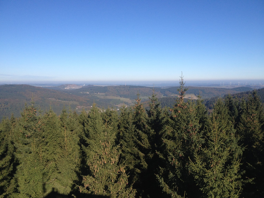 Dommelturm