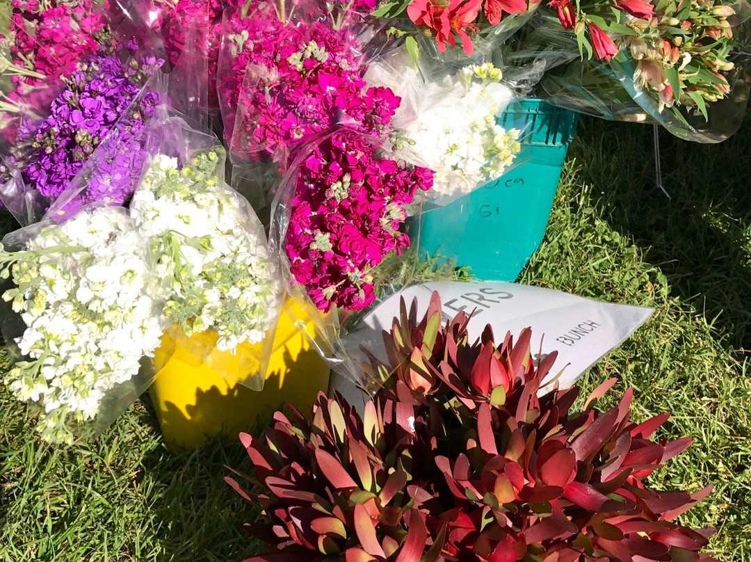 Marlborough Farmers Market景点图片