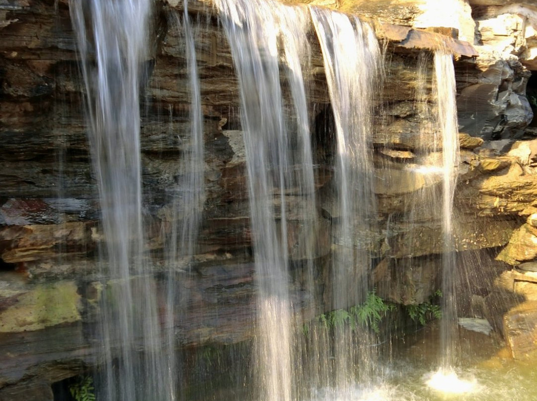 陶渊明宾馆主图