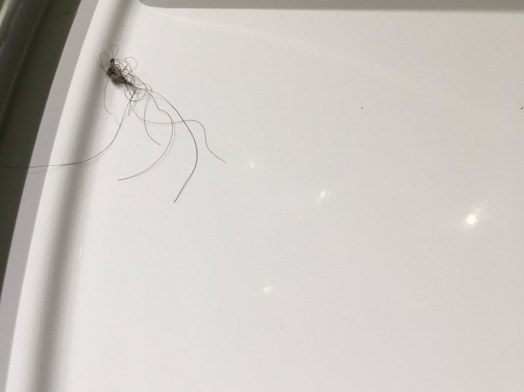 Gasthof Klosterbraeu主图