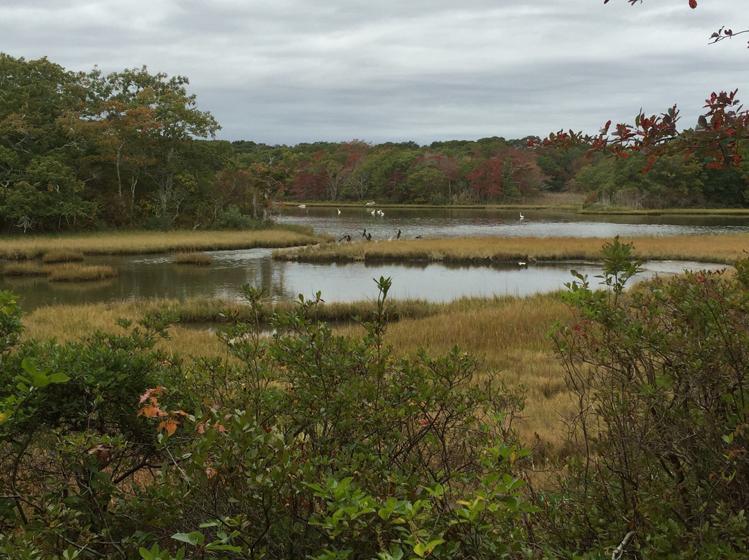 Demarest Lloyd State Park景点图片