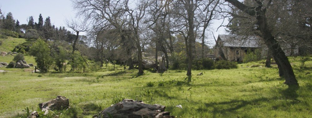 Twin Gables Guest House主图