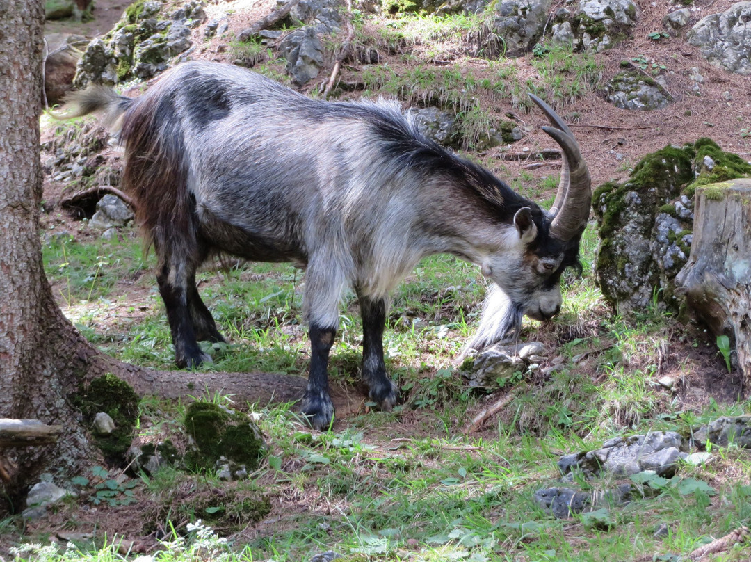 Parch di Colfosco-Colfosco必去景点
