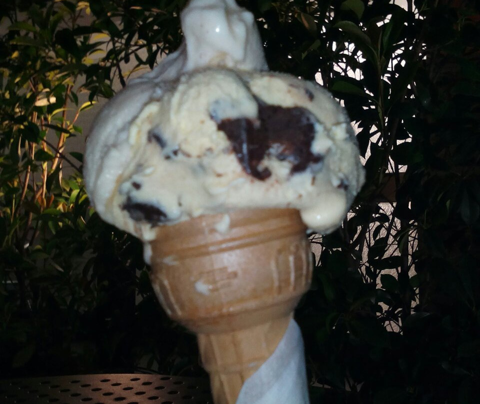 Artigiani Gelateria-比森齐奥营必去景点