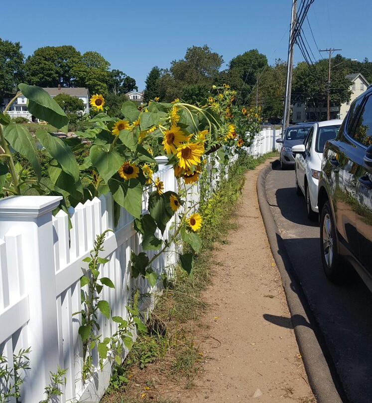 Route 146 Scenic Drive-布兰福德必去景点
