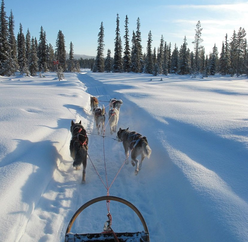 Fjellborg Arctic Journeys-基律纳必去景点