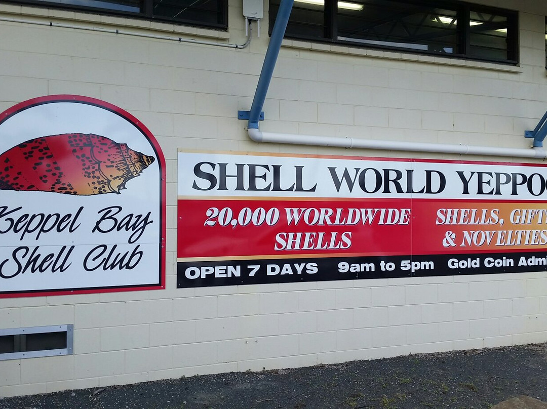 Shell World Yeppoon景点图片