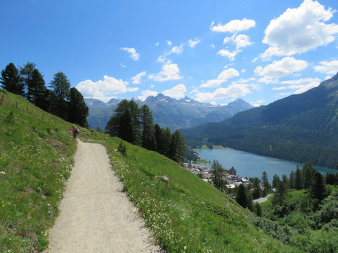 Heidi's blumenweg-圣莫里茨必去景点