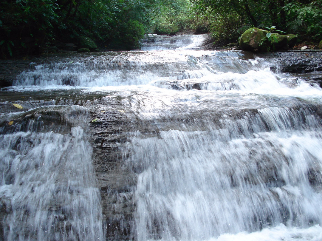 Eco Parque Agua Selva景点图片