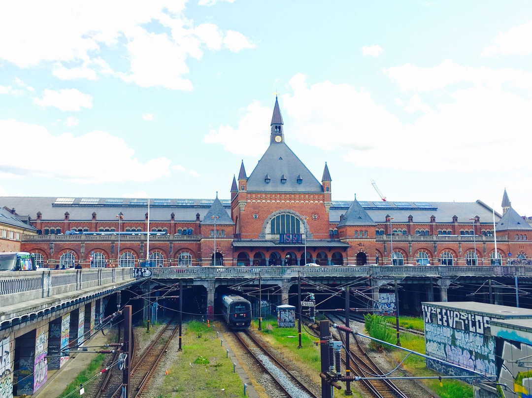 Copenhagen Central Station景点图片