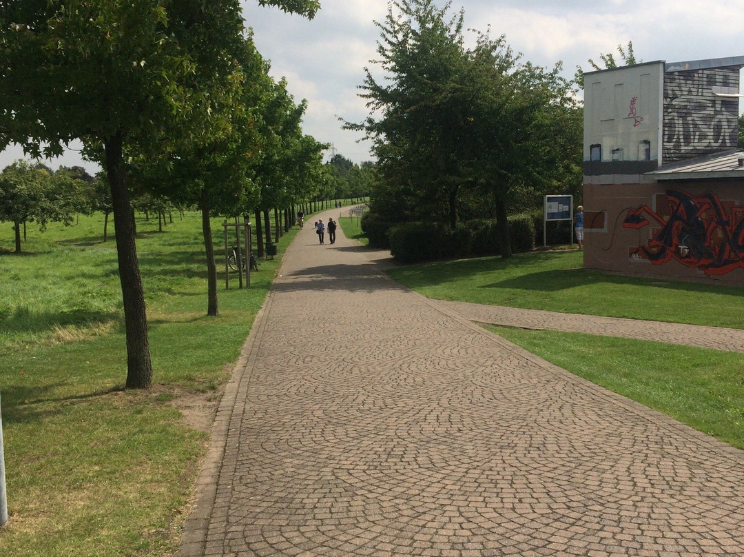 Seepark Lünen景点图片