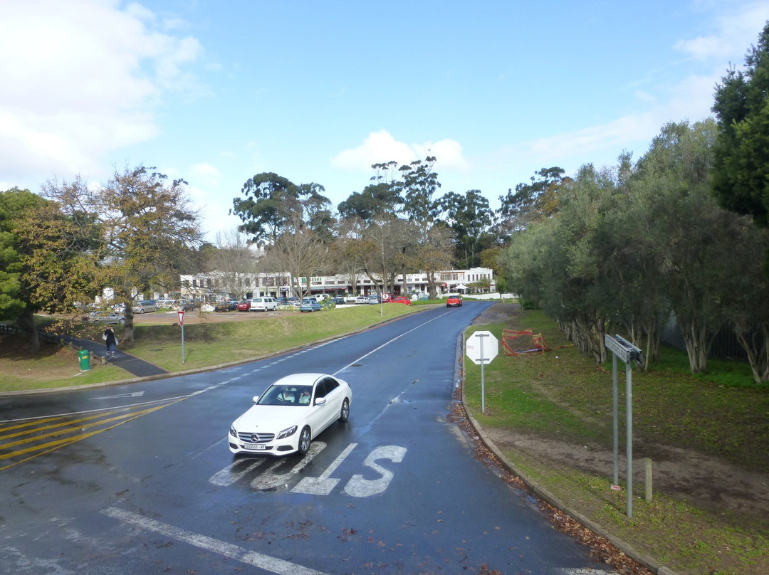 Southern Suburbs-开普敦中心区必去景点