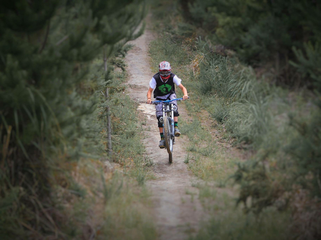 Parahaki Mountain Bike Park景点图片