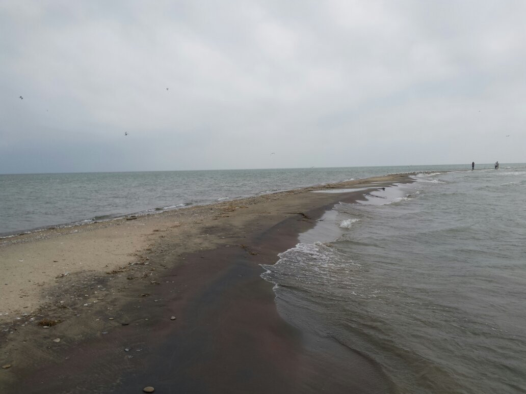 Long Point Tours景点图片