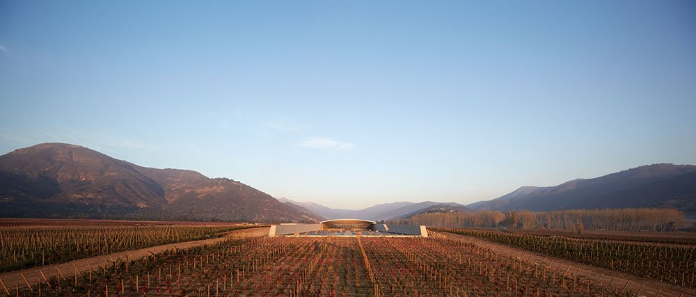 VIÑA VIK Winery景点图片
