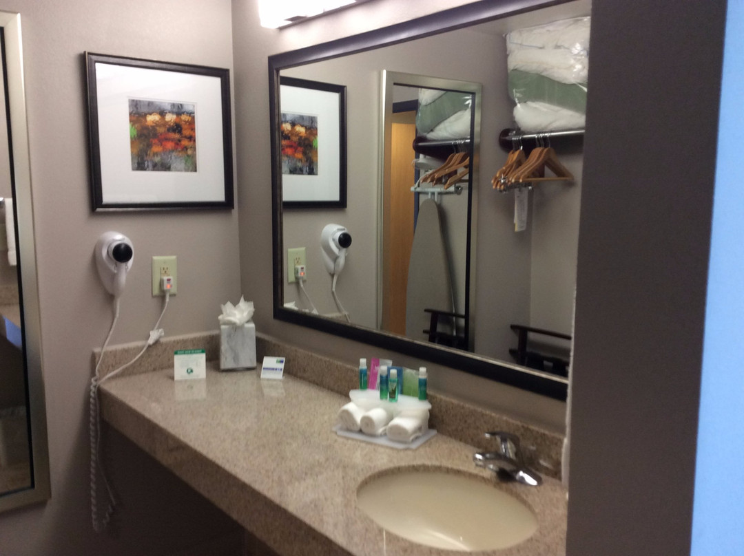 Landover酒店住宿-Holiday Inn Express & Suites I-95 Capitol Beltway-largo By IHG