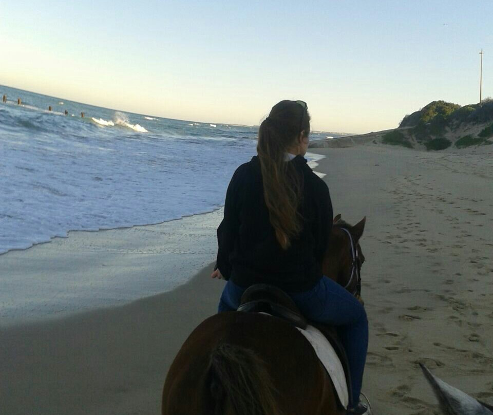 Mild2Wild Adventures-杰佛瑞湾必去景点