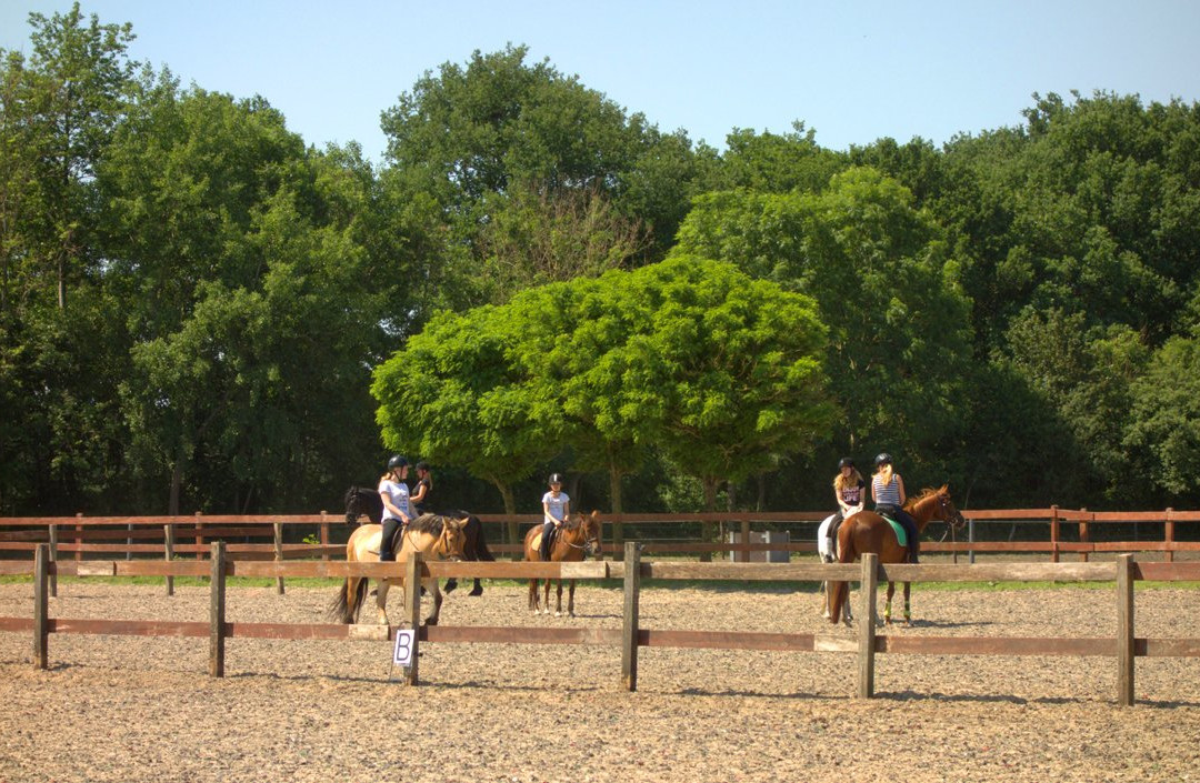 Horse Central Holland-De Bult必去景点