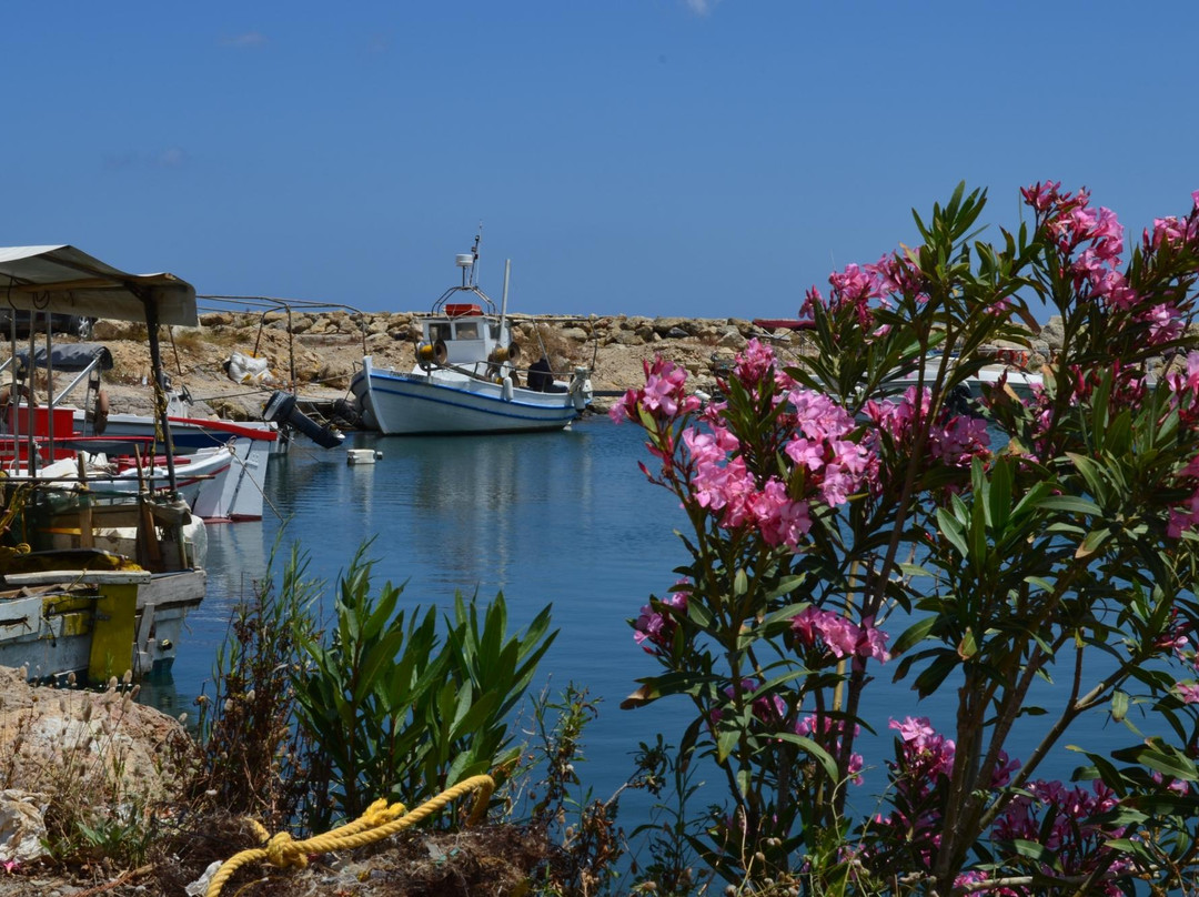 Lycasti Maisonettes主图