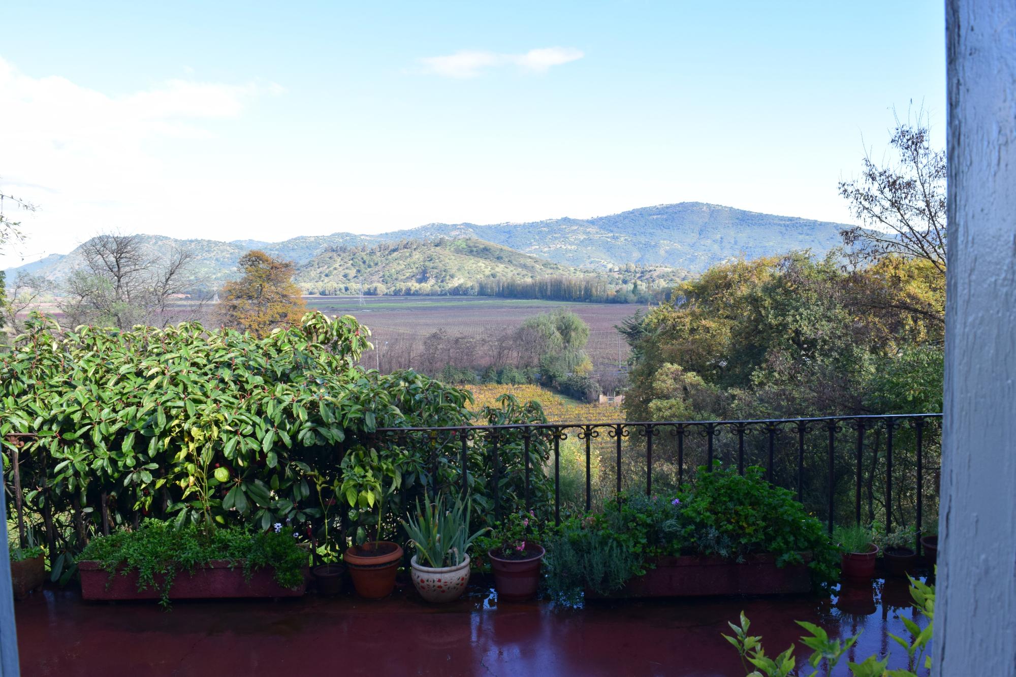 El Cerrillo Bed & Breakfast-酒店景观