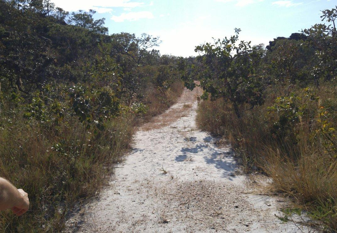 Serra Dourada State Park景点图片