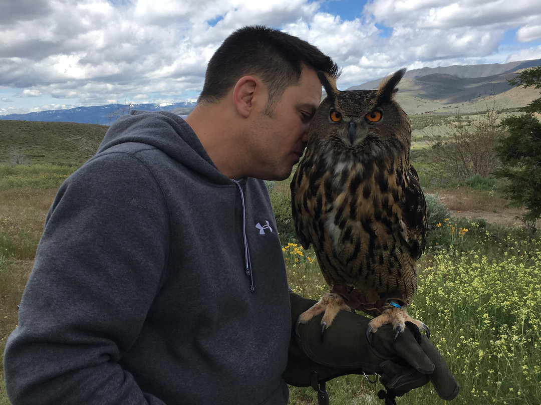 Raptor Adventures-里诺必去景点