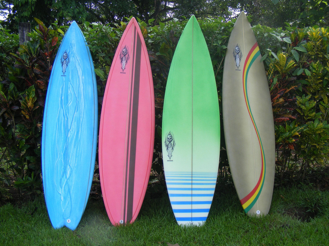 Pavones Surf Shop景点图片