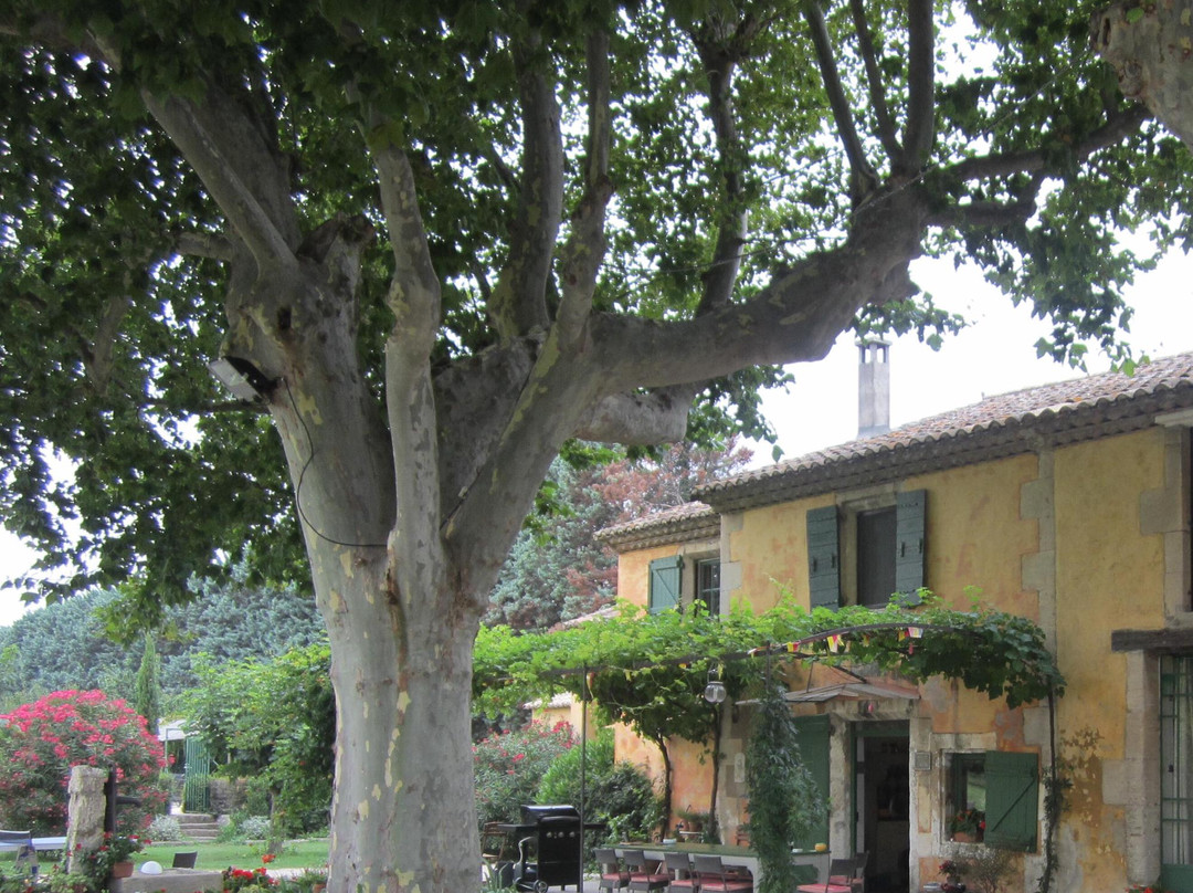 Bergerie de Castellan主图