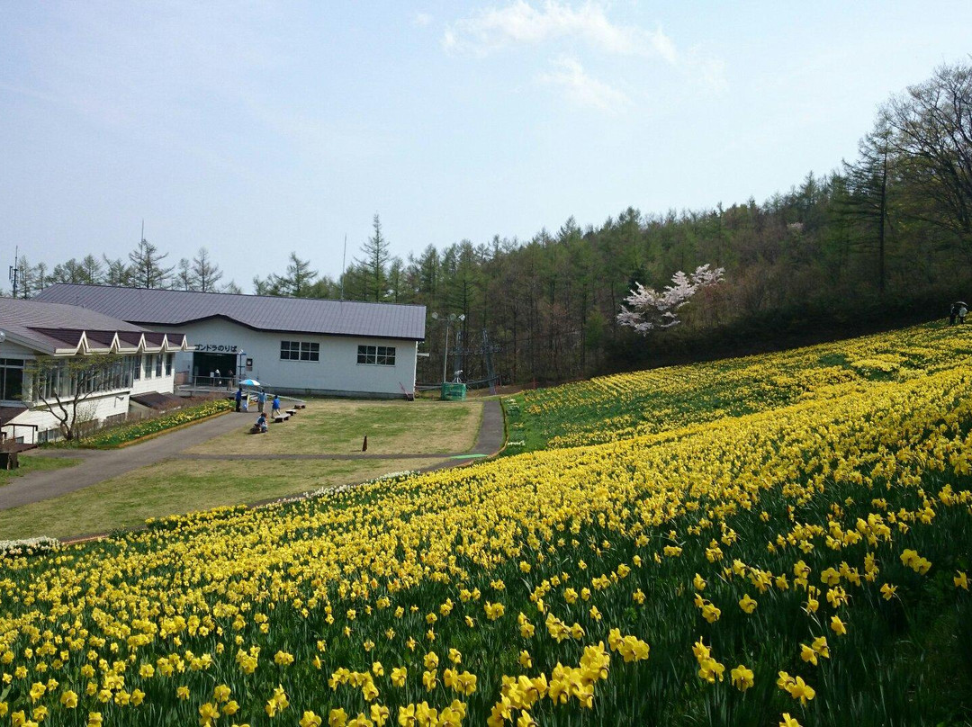 Miyagi Zao Eboshi Resort景点图片