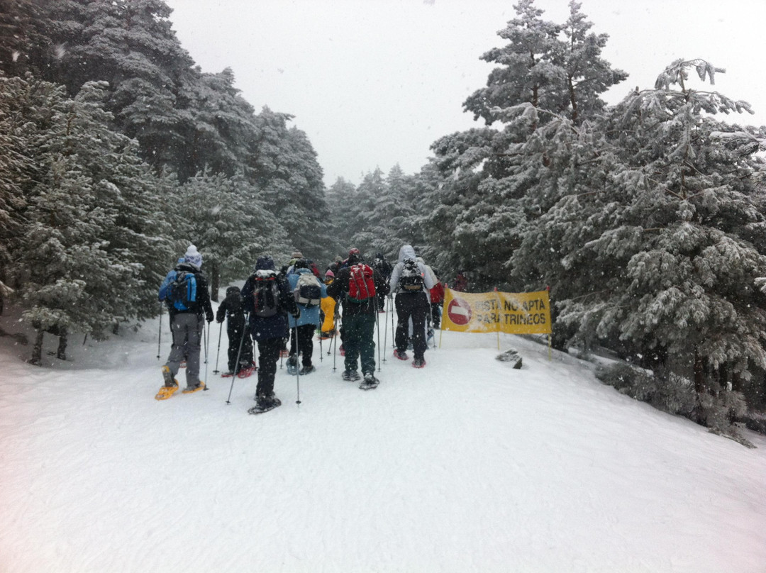 Multiaventura Los Gatos-Peguerinos必去景点