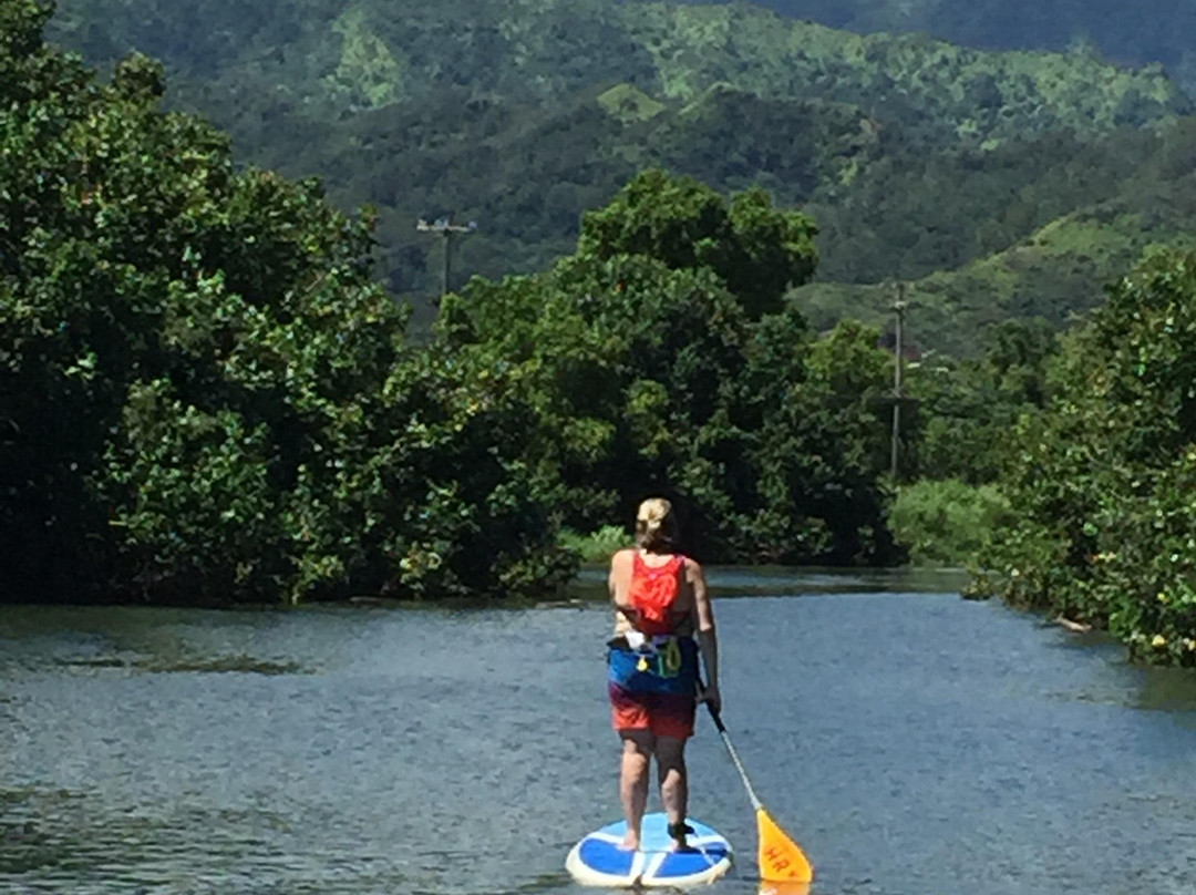 Turtle's Paddle Adventures-卡阿瓦必去景点