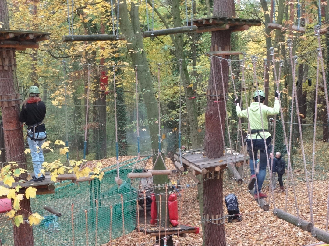 Tarzania High Rope Park景点图片