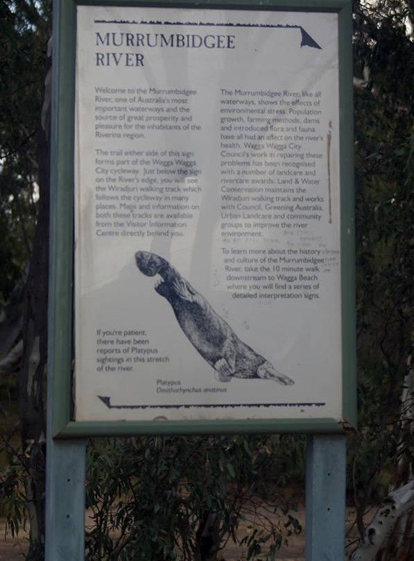Wagga Wagga Visitor Information Centre景点图片