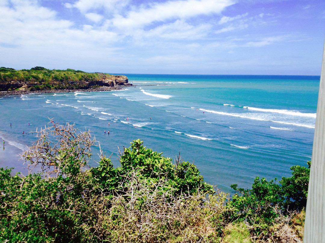 Opunake旅游攻略图片