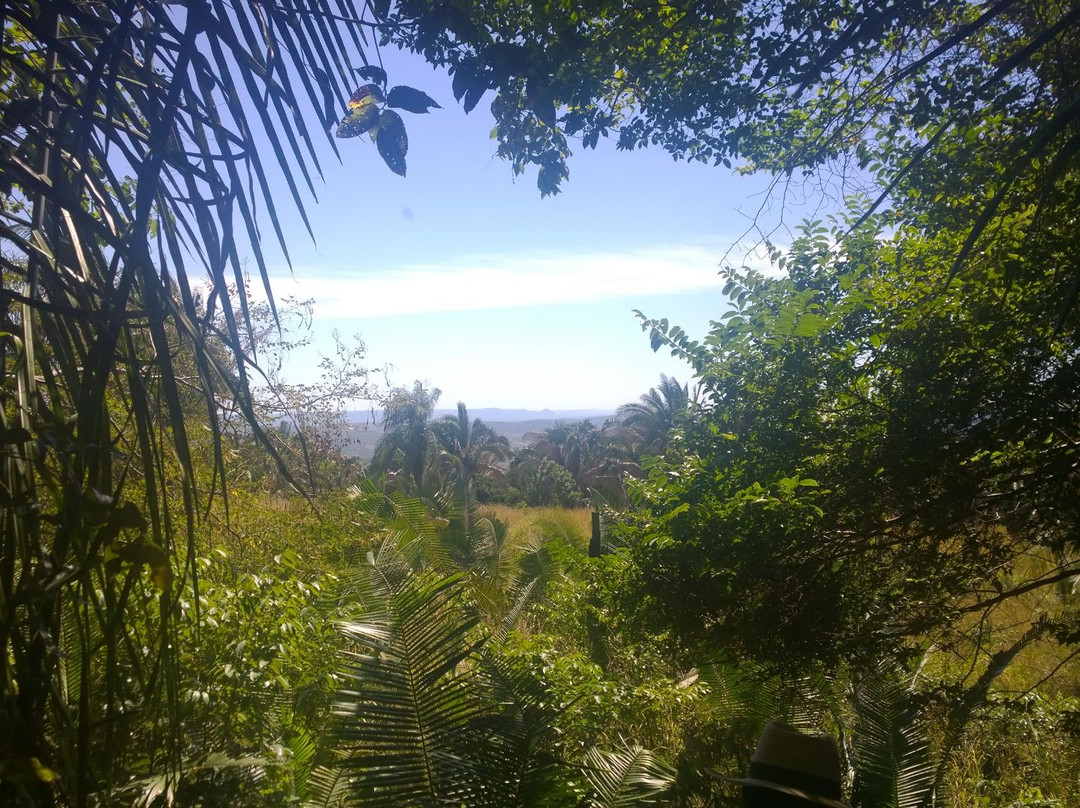 Museu Benedito José Teles-Crato必去景点