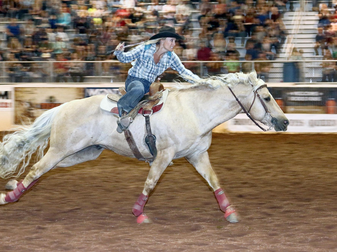 Horseshoe Park & Equestrian Centre-Queen Creek必去景点