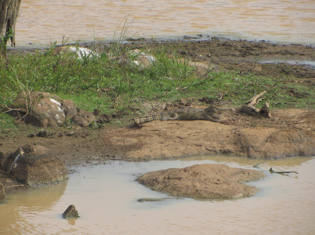 Okanda Devalaya-雅拉国家公园必去景点