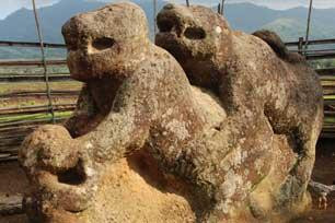 The Elephant Stone景点图片