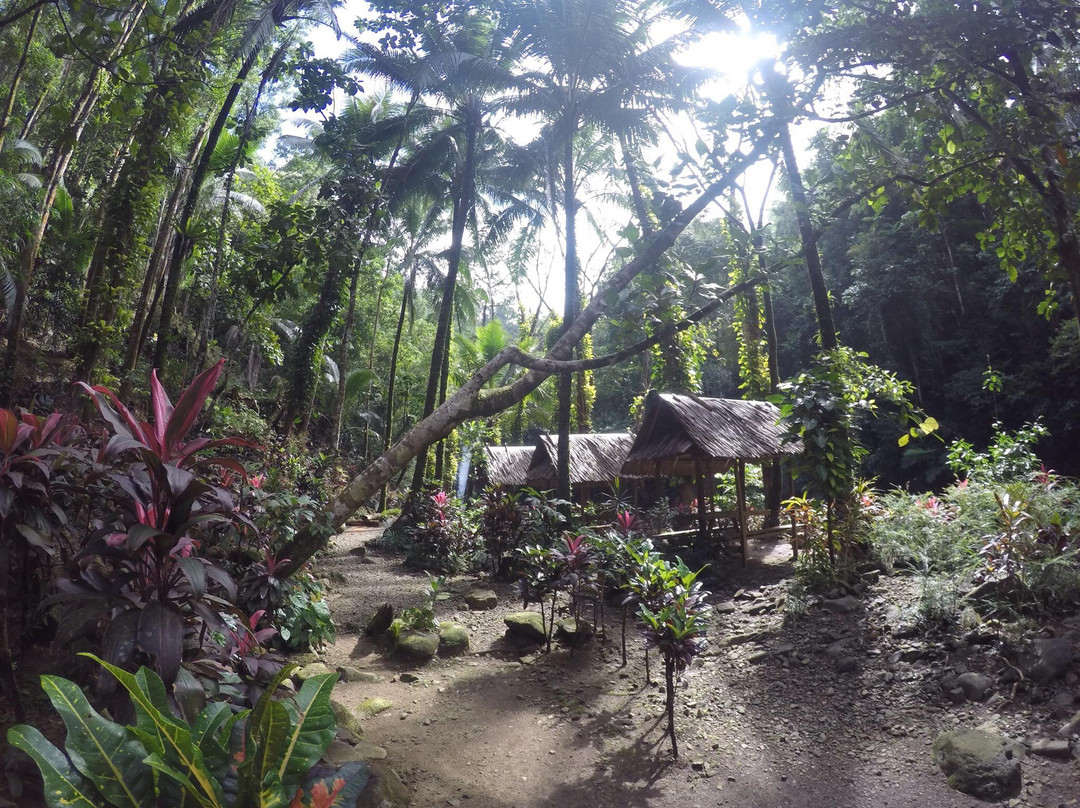 Magkawas Falls-Lanuza必去景点