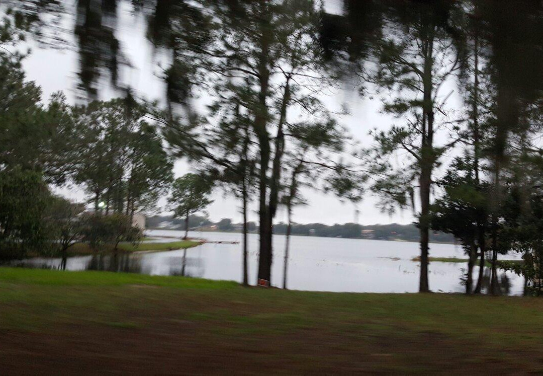 Clermont Waterfront Bikes And Boards-Clermont必去景点