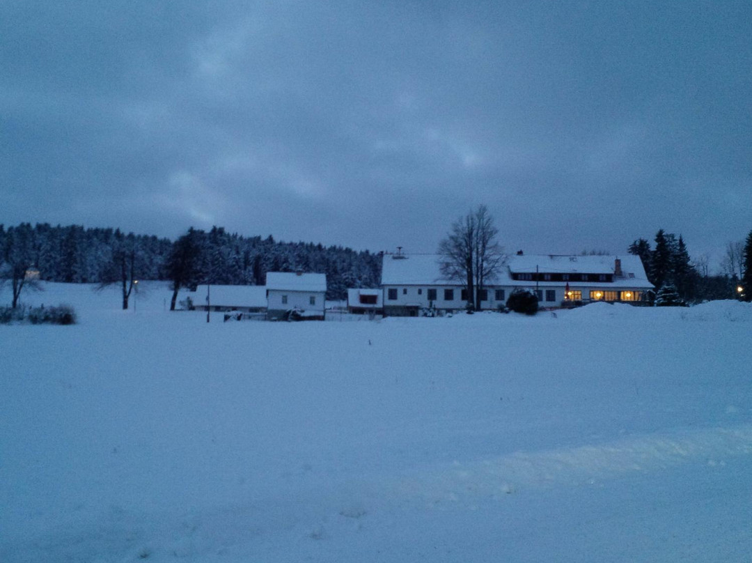 克拉斯娜维赫利德卡酒店主图